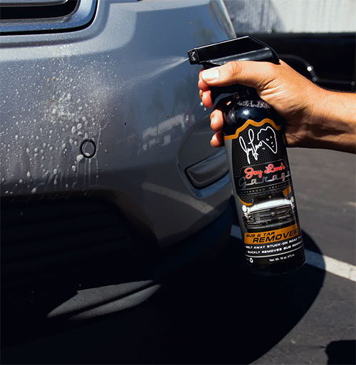 bug remover